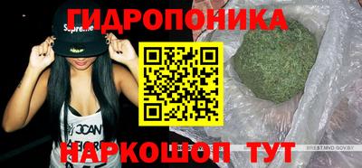 ECSTASY Туймазы