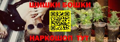 индика Тулун