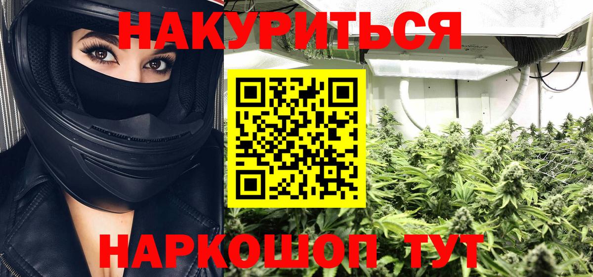 Конопля план  Марихуана тримм  Гусь-Хрустальный  Вход с VPN 